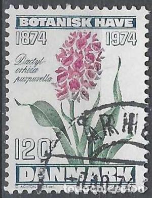 Selos: DINAMARCA 1974 - FLORES, ORQU&Iacute;DEA PURPURELLA - USADO