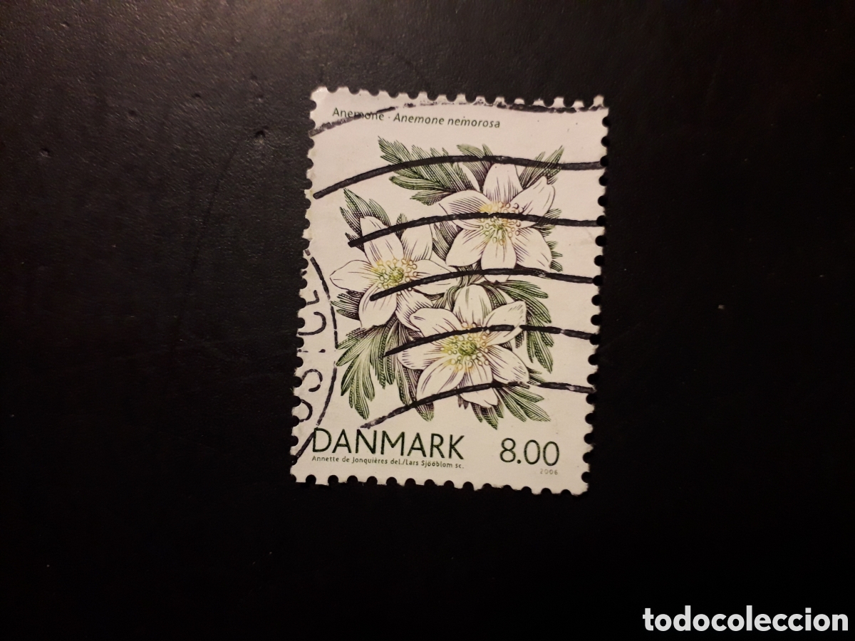 Stamps: DINAMARCA YVERT 1429 SELLO SUELTO USADO 2006 FLORA, FLORES, PEDIDO M&Iacute;NIMO 3&euro;
