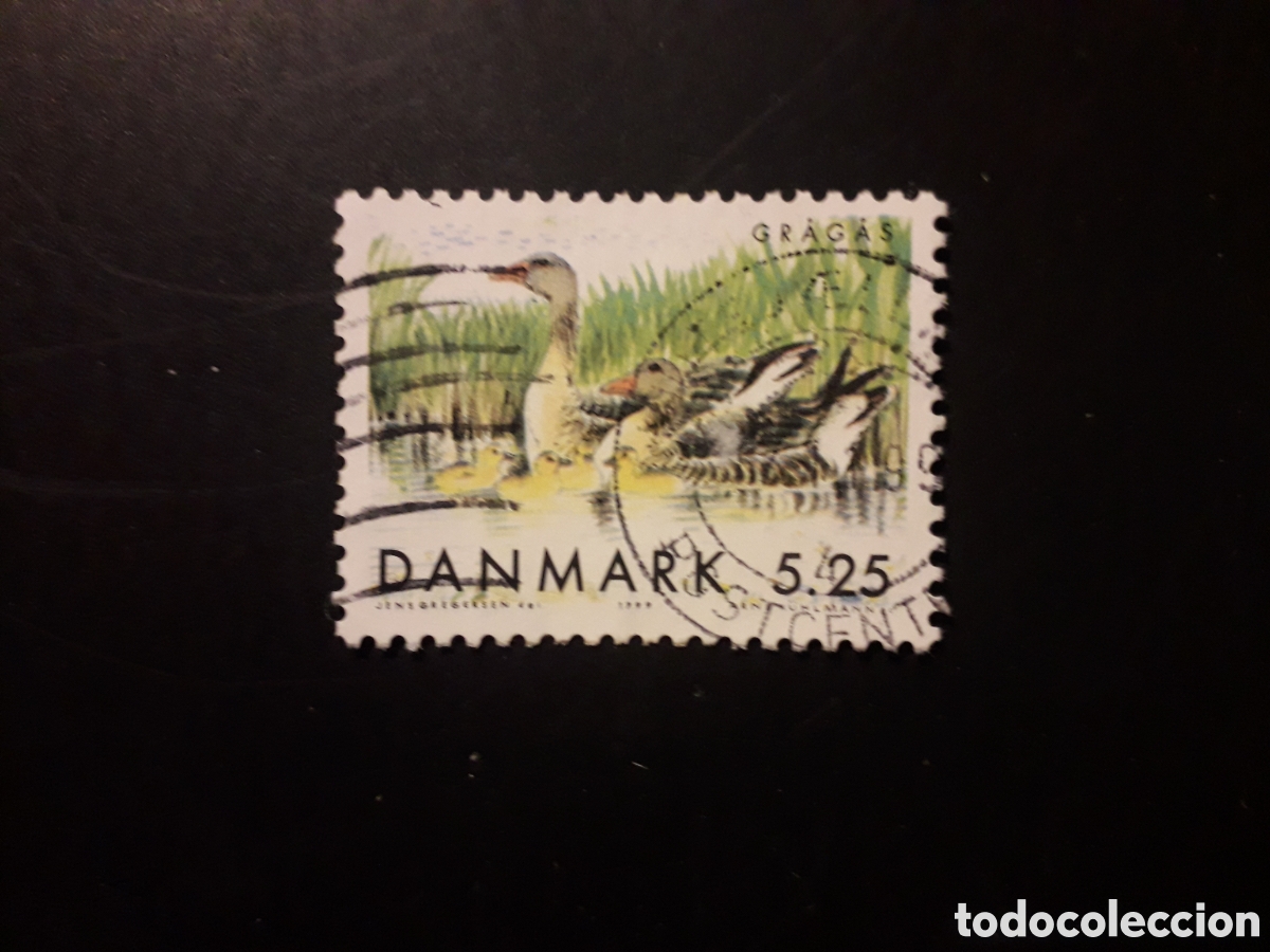 Sellos: DINAMARCA YVERT 1223 SELLO SUELTO USADO 1999 FAUNA AVES PEDIDO M&Iacute;NIMO 3&euro;