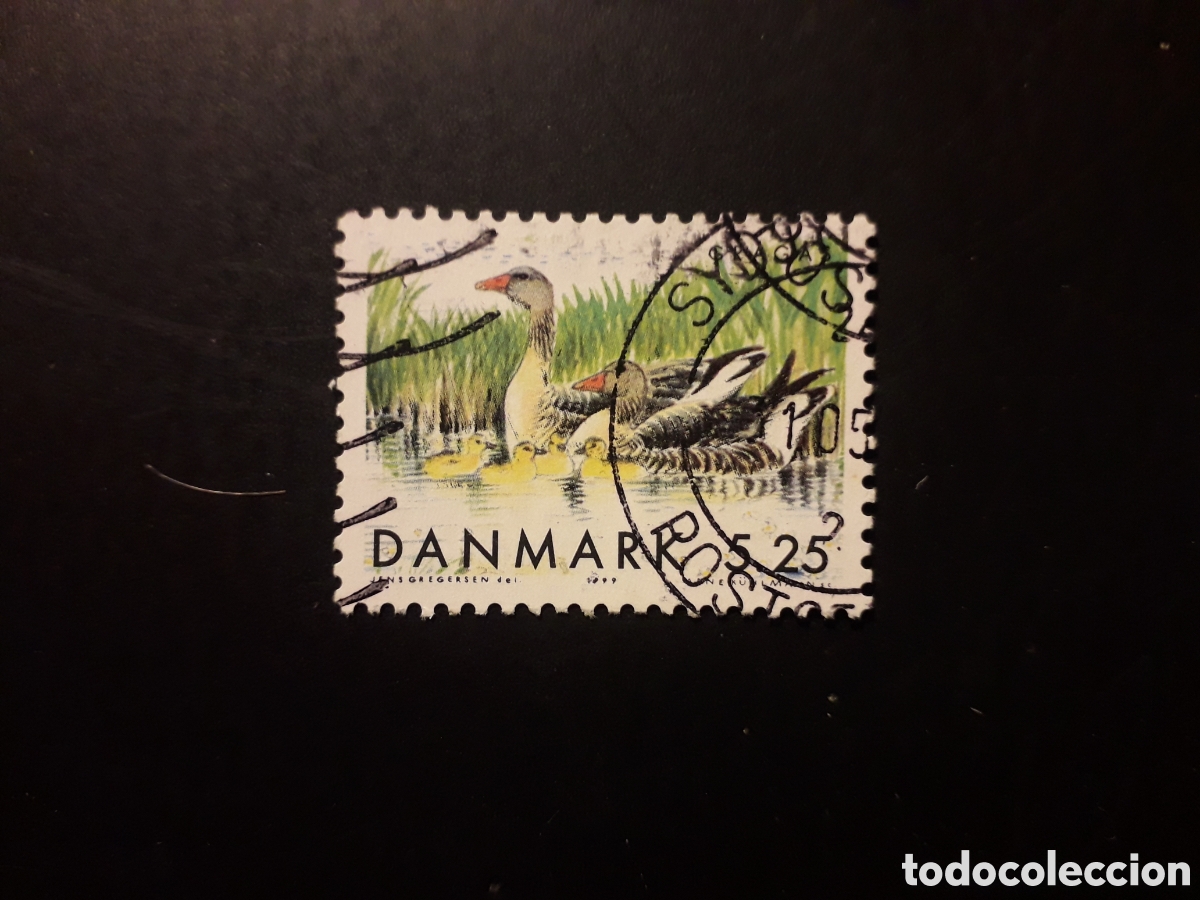 Sellos: DINAMARCA YVERT 1223 SELLO SUELTO USADO 1999 FAUNA AVES PEDIDO M&Iacute;NIMO 3&euro;