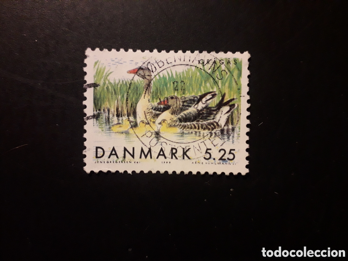 Sellos: DINAMARCA YVERT 1223 SELLO SUELTO USADO 1999 FAUNA AVES PEDIDO M&Iacute;NIMO 3&euro;