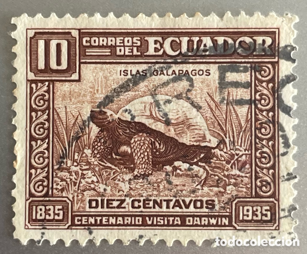 Sellos: Ecuador. Charles Darwin. Gal&aacute;pagos. 1936 - Foto 1