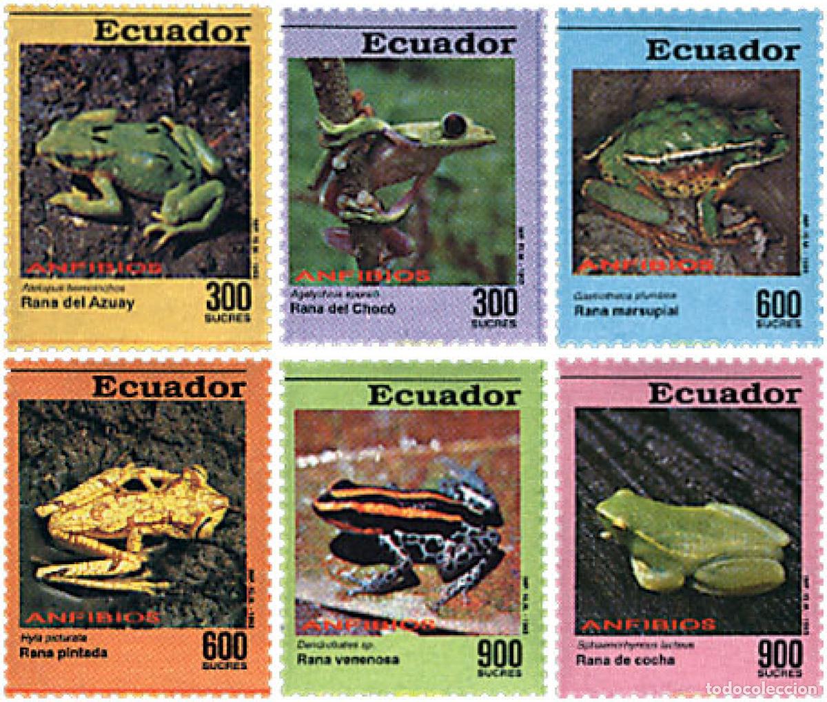 Sellos: 86628 MNH ECUADOR 1993 ANFIBIOS