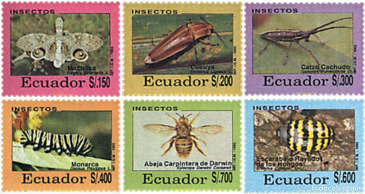 Sellos: 78004 MNH ECUADOR 1993 INSECTOS