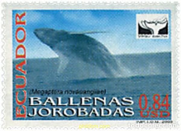 Sellos: 86656 MNH ECUADOR 2000 BALLENAS JOROBADAS