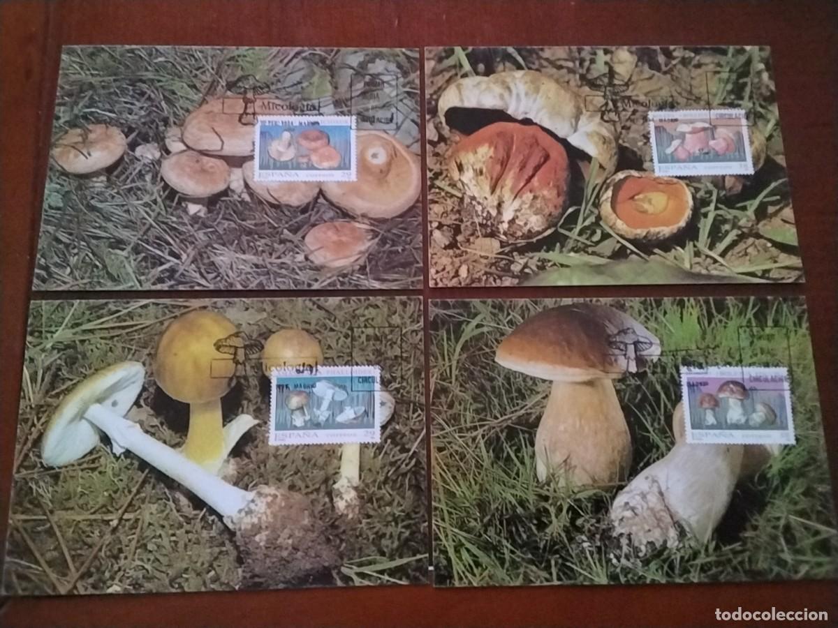Sellos: Lote entero postal Espa&ntilde;a - Foto 1