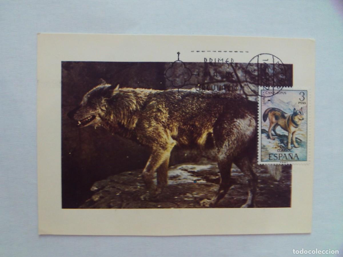 Stamps: EPPD10 ENTERO POSTAL DEL PRIMER D&Iacute;A MUY ESCASOS CANS LUPI (LOBO) 1972