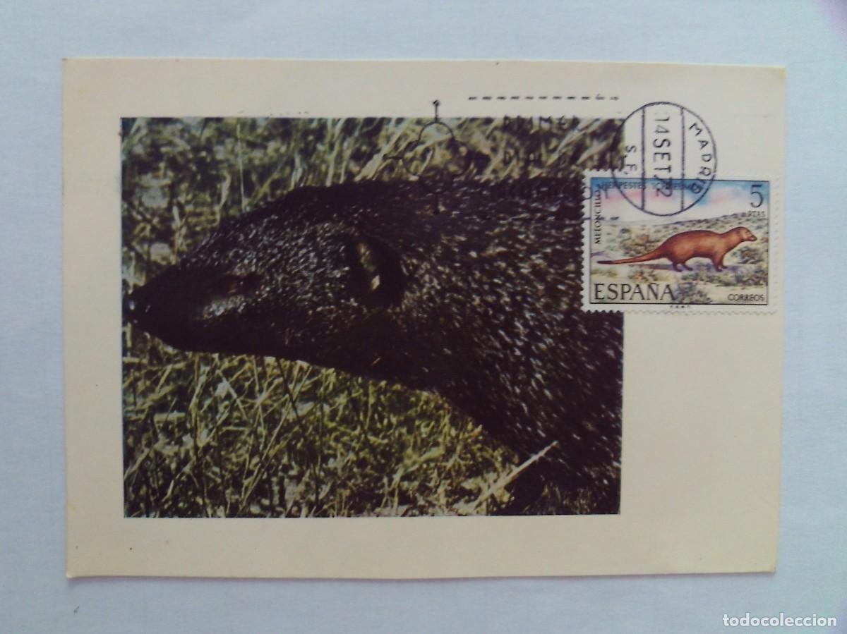 Stamps: EPPD11 ENTERO POSTAL DEL PRIMER D&Iacute;A MUY ESCASOS MELONCILLO 1972