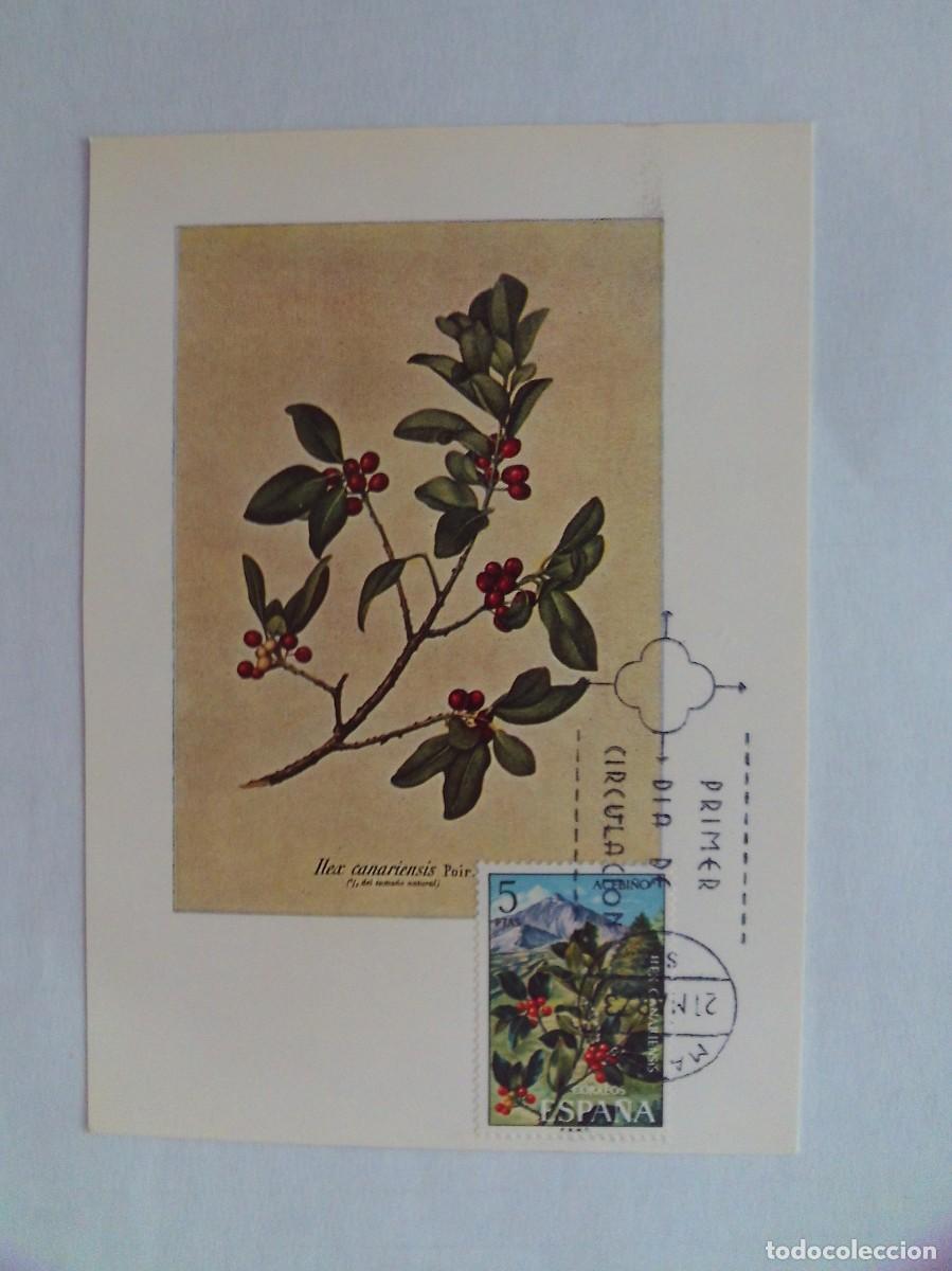 Stamps: EPPD 45 ENTERO POSTAL DEL PRIMER D&Iacute;A MUY ESCASOS HEX CANARIENSES 1973