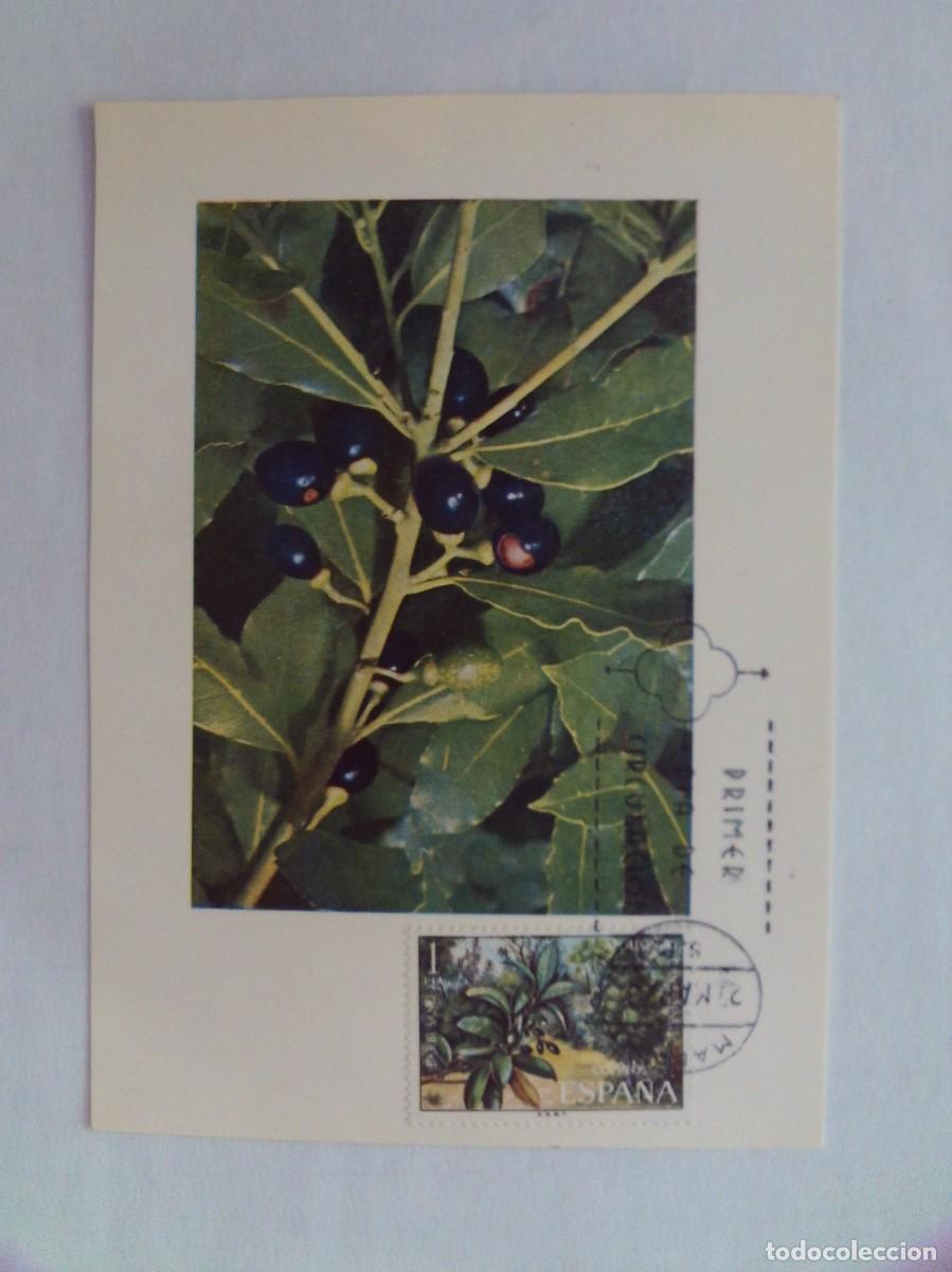 Stamps: EPPD 46 ENTERO POSTAL DEL PRIMER D&Iacute;A MUY ESCASOS BARBUSNO 1973