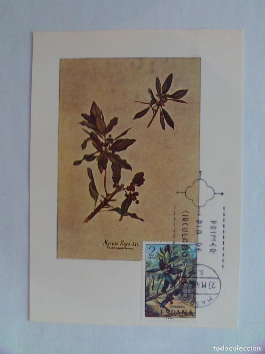 Stamps: EPPD 47 ENTERO POSTAL DEL PRIMER D&Iacute;A MUY ESCASOS MYRICA FAYA AIT 1973