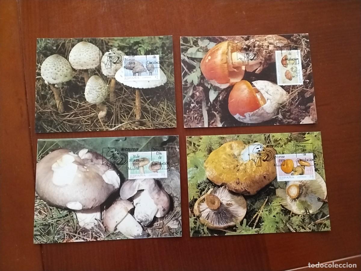 Sellos: Entero postal Espa&ntilde;a - Foto 1