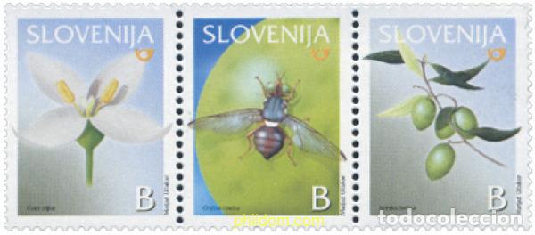 Sellos: 135049 MNH ESLOVENIA 2003 EL OLIVO