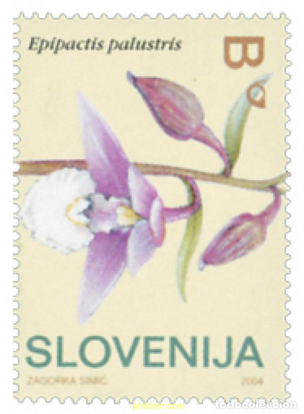 Selos: 153207 MNH ESLOVENIA 2004 ORQUIDEAS