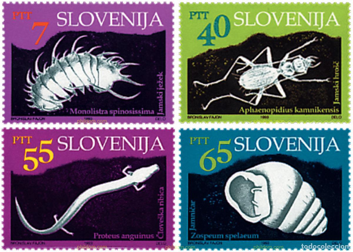 Sellos: 51533 MNH ESLOVENIA 1993 FAUNA CAVERNICOLA