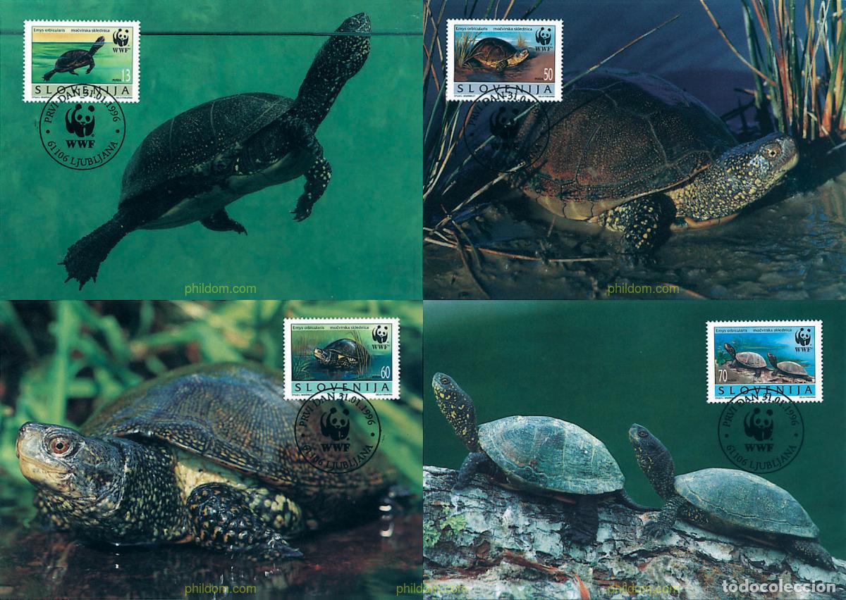Sellos: 7421 MNH ESLOVENIA 1996 GALAPAGO EUROPEO