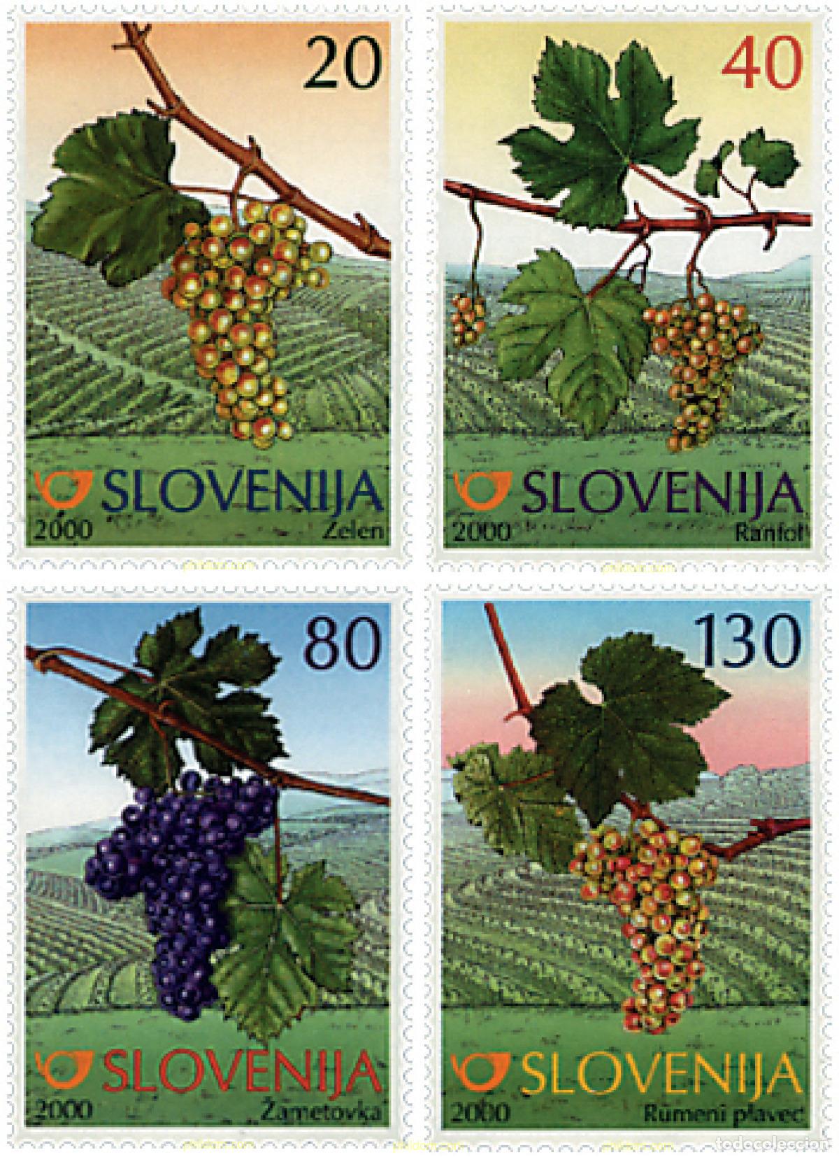 Sellos: 53032 MNH ESLOVENIA 2000 CEPAS DE ESLOVENIA