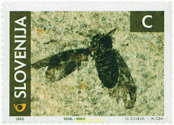 Sellos: 99054 MNH ESLOVENIA 2002 FOSILES