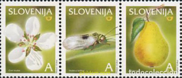 Sellos: 153205 MNH ESLOVENIA 2004 FRUTOS
