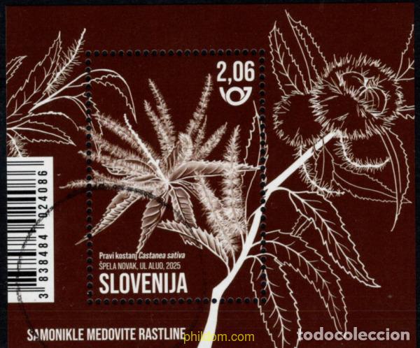 Sellos: 763486 MNH ESLOVENIA 2025 PLANTAS MEL&iacute;FERAS AUT&oacute;CTONAS