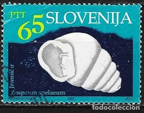 Sellos: Eslovenia 1993 - Mi 63 - YT 61 - Fauna cavern&iacute;cola : Concha