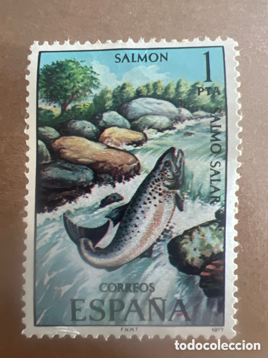 Sellos: Sello Espa&ntilde;a 1977 - Fauna: Salm&oacute;n / Salmo Salar (1 pta) Nuevo