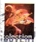 Stamps: USA.- SELLO DEL A&Ntilde;O 2000, EN USADO