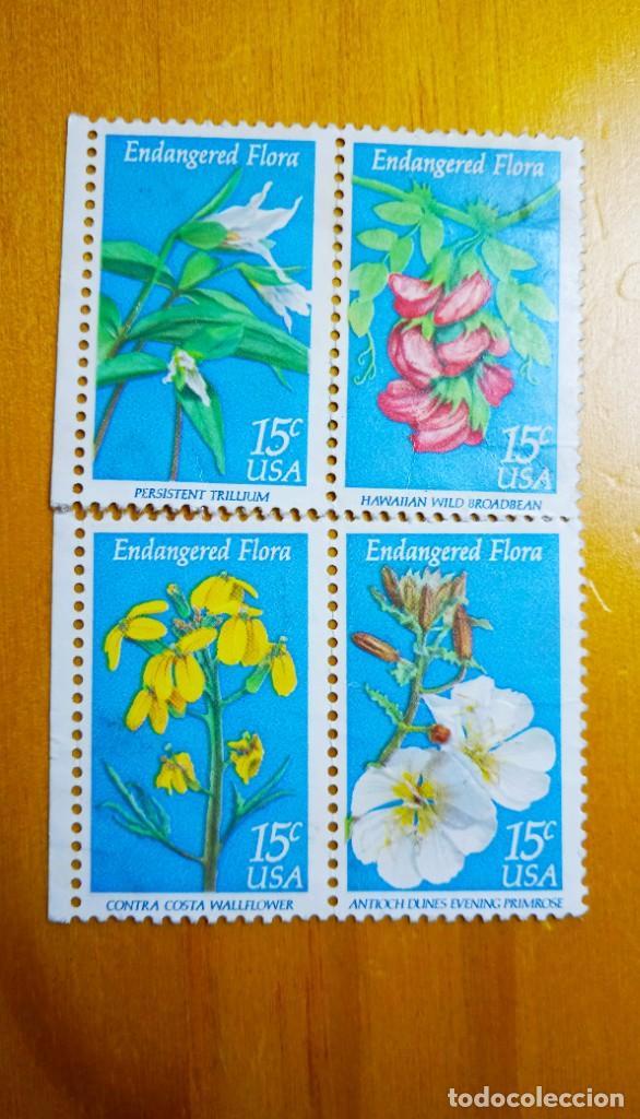 Stamps: UNITED STATE 15 CENTS, ENDANGERED FLORA 1979.