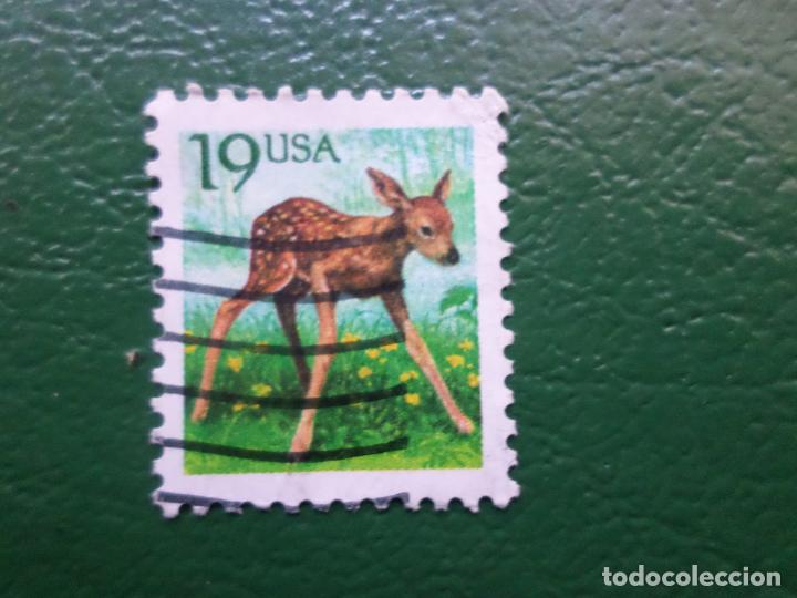 Francobolli: +estados unidos, 1991, fauna, cervatillo, Yvert 1931