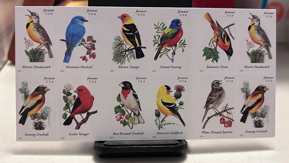 Sellos: 20 sellos de USA Forever VF$15 AVES Sin Uso Vendo por $11 con env&iacute;o gratis