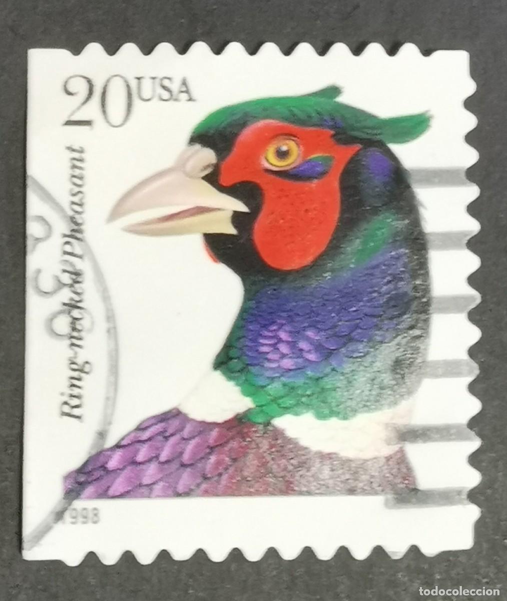 Briefmarken: Sello Estados Unidos U.S.A.1998,Fais&aacute;n cuello anillado (Phasianus colchicus), 20 &cent; Michel US 2995BDl