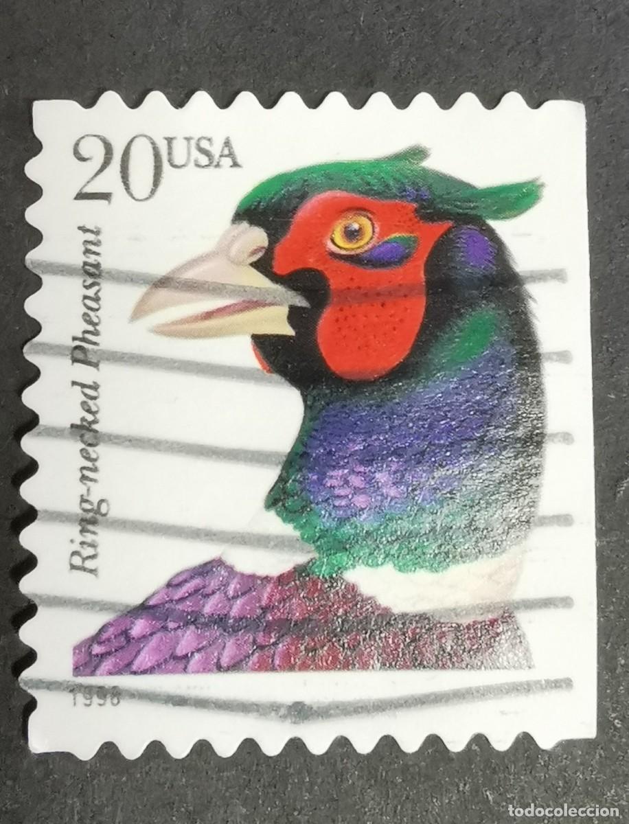 Briefmarken: Sello Estados Unidos U.S.A.1998,Fais&aacute;n cuello anillado (Phasianus colchicus), 20 &cent; Michel US 2995BDr