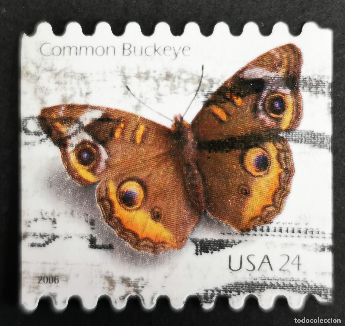 Stamps: Sello Estados Unidos U.S.A.2006,Casta&ntilde;o de Indias com&uacute;n (Junonia,24 &cent; Michel US 4051BC