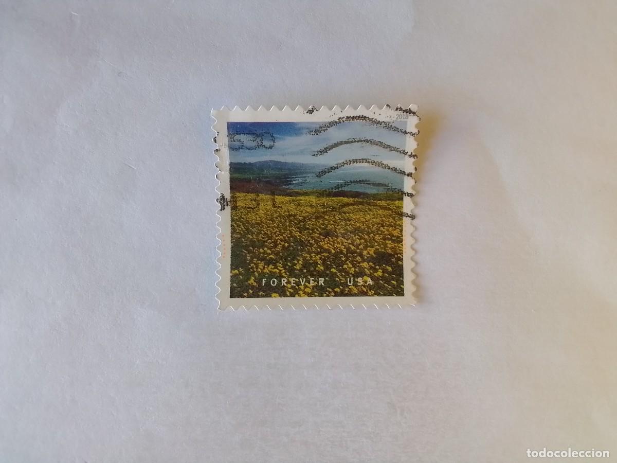 Sellos: A&Ntilde;O 2018 ESTADOS UNIDOS SELLO USADO
