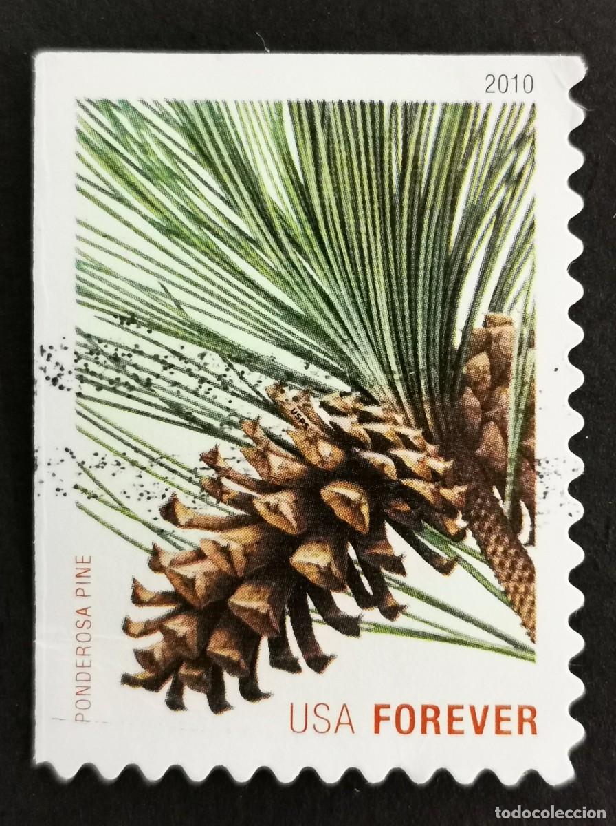 Briefmarken: Sello Estados Unidos U.S.A.2010,Pino ponderosa (Pinus ponderosa), Michel US 4645BE