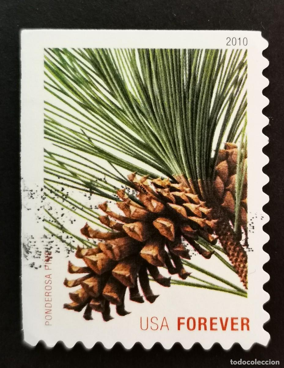 Briefmarken: Sello Estados Unidos U.S.A.2010,Pino ponderosa (Pinus ponderosa), Michel US 4645BE