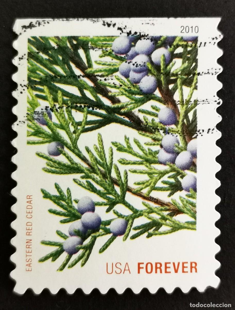 Timbres: Sello Estados Unidos U.S.A.2010,Cedro rojo oriental, Michel US 4646BD