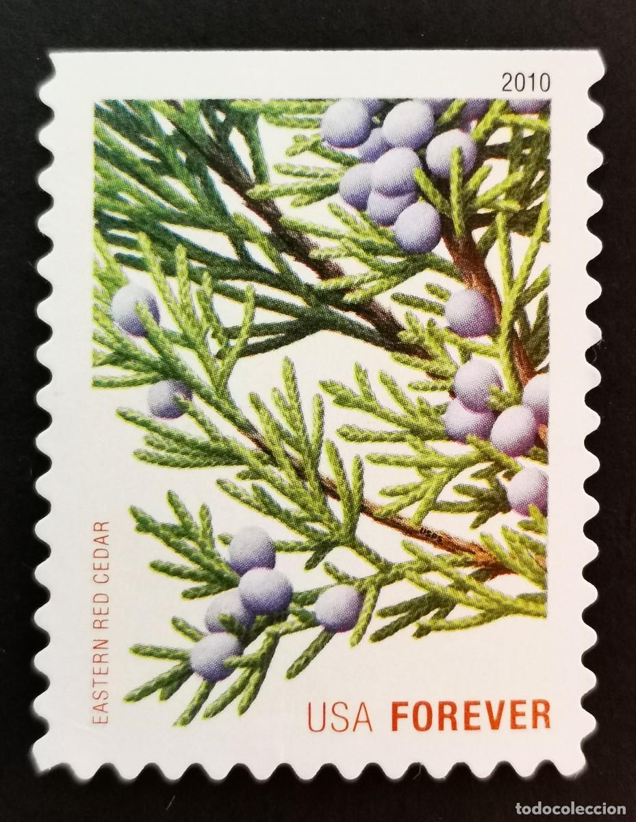 Timbres: Sello Estados Unidos U.S.A.2010,Cedro rojo oriental, Michel US 4646BD