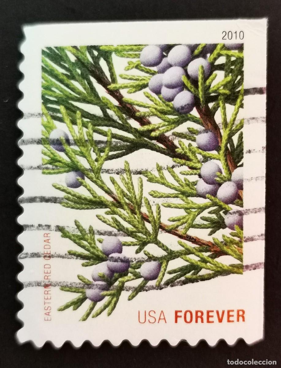 Sellos: Sello Estados Unidos U.S.A.2010,Cedro rojo oriental, Michel US 4646BE
