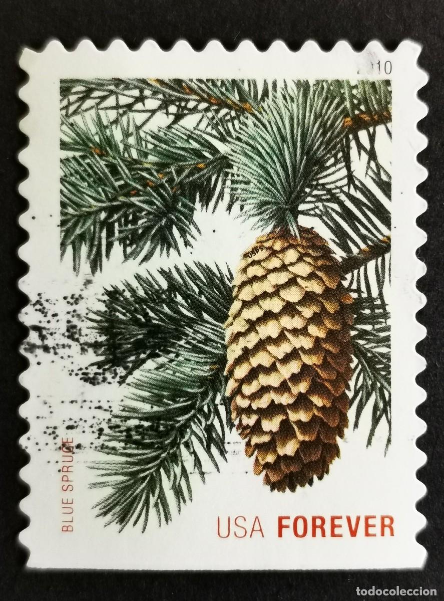 Sellos: Sello Estados Unidos U.S.A.2010,Abeto azul, Michel US 4648BD