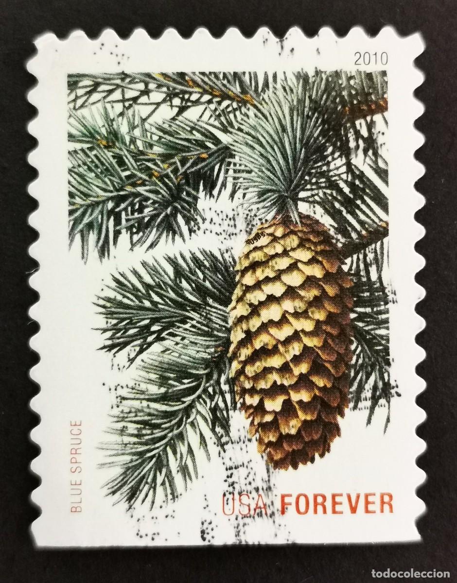 Sellos: Sello Estados Unidos U.S.A.2010,Abeto azul, Michel US 4648BD