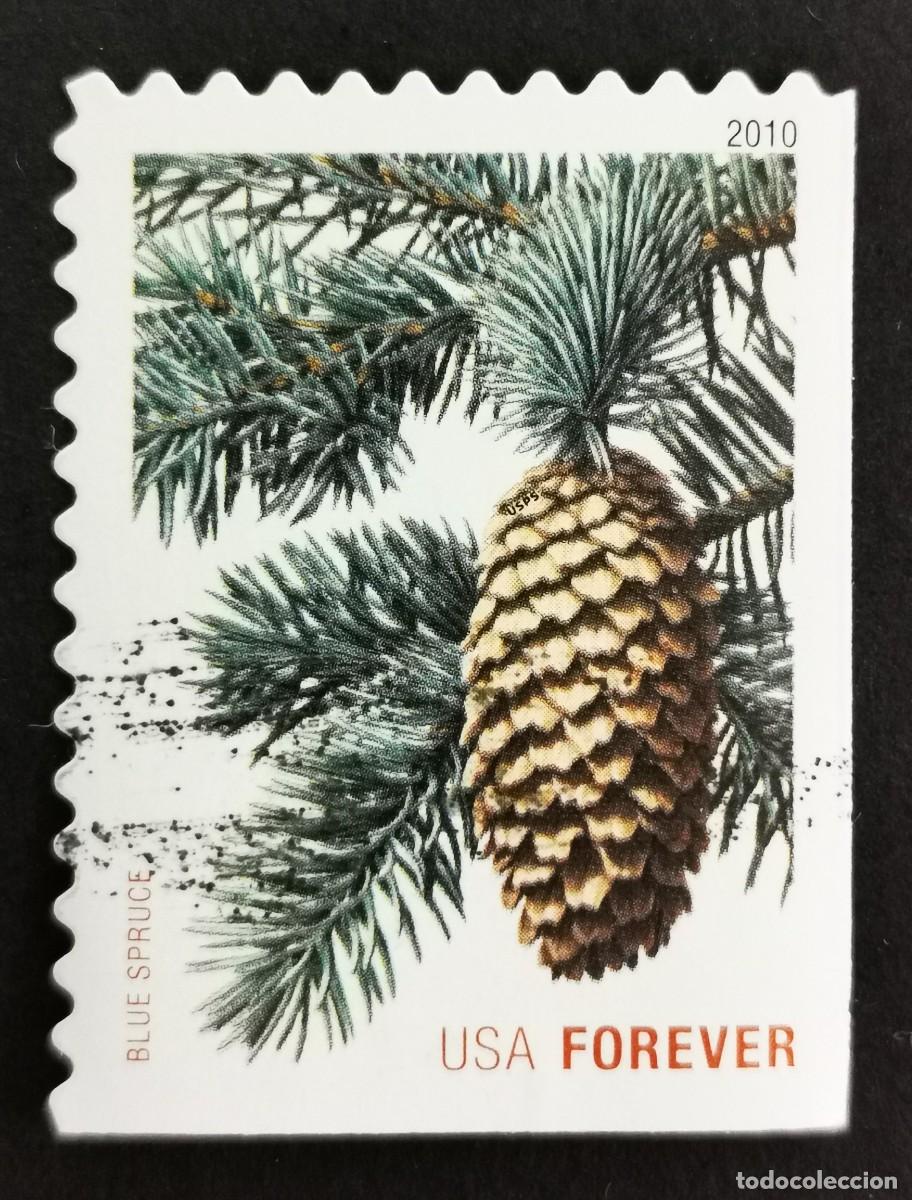 Sellos: Sello Estados Unidos U.S.A.2010,Abeto azul, Michel US 4648BE