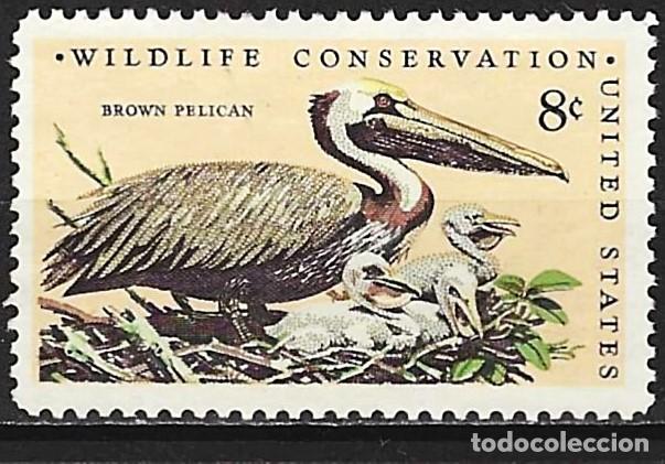 Sellos: Estados Unidos 1972 - Mi 1081 - YT 965 - Ave : Pel&iacute;cano - MNG