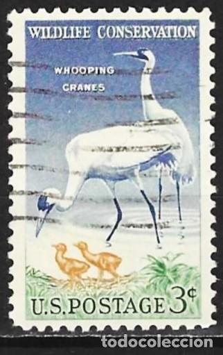 Sellos: Estados Unidos 1957 - Mi 721 - YT 612B - Ave : Grulla trompetera