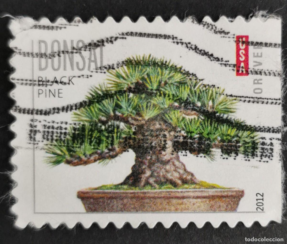 Sellos: Sello Estados Unidos U.S.A.2012,Pino negro, Sin Valor Facial Michel US 4807BDr