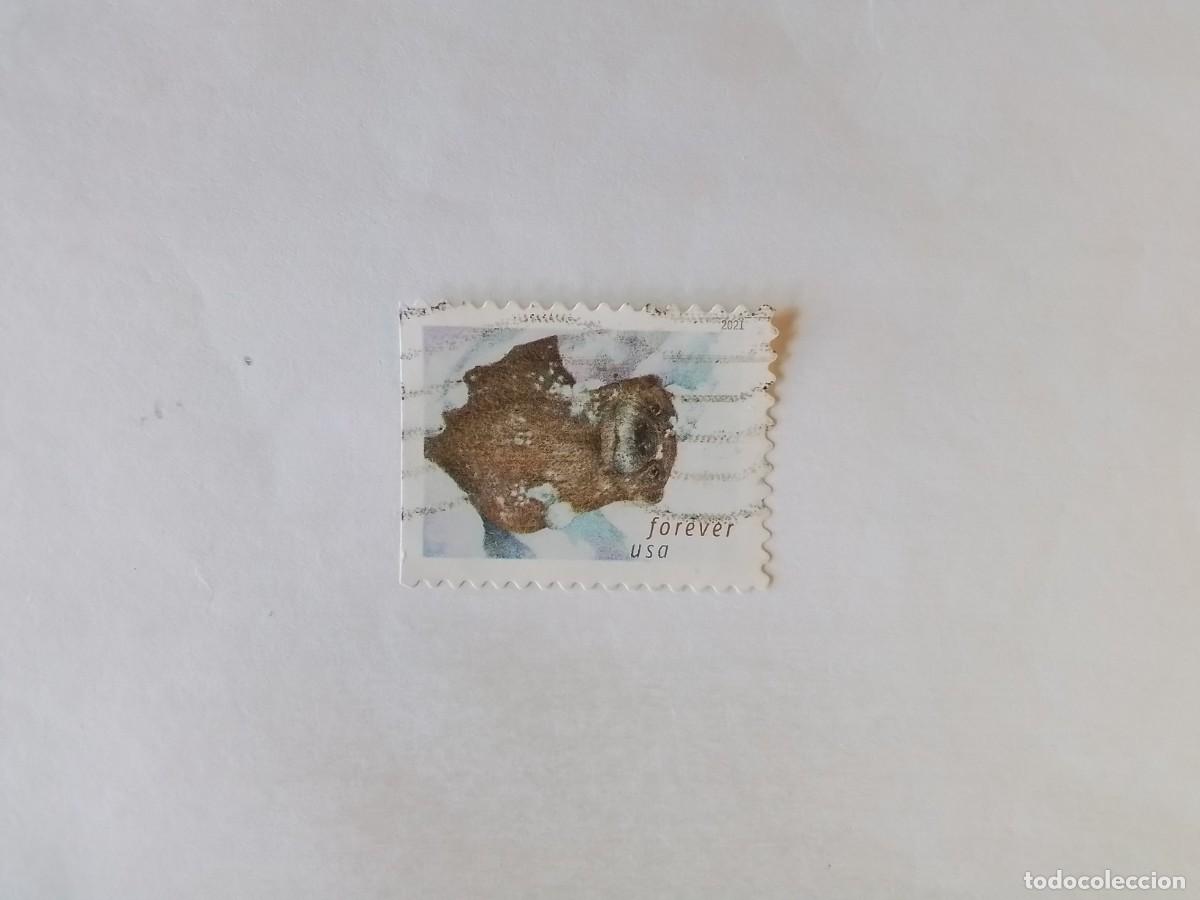 Sellos: A&Ntilde;O 2021 ESTADOS UNIDOS SELLO USADO