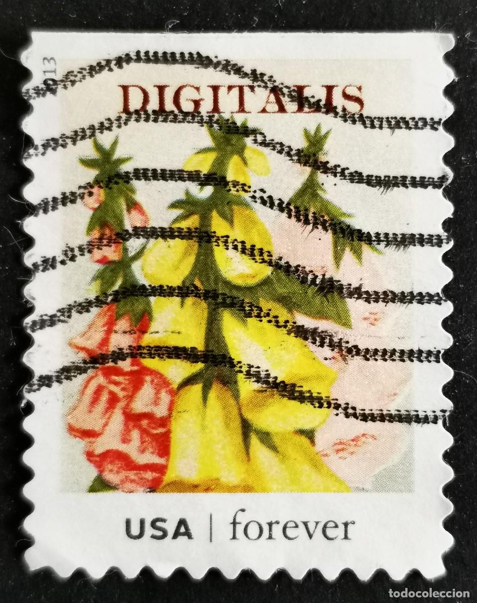 Sellos: Sello Estados Unidos U.S.A.2013, Paquetes de semillas: Digitalis, Sin Valor Facial, Michel US 4955BD