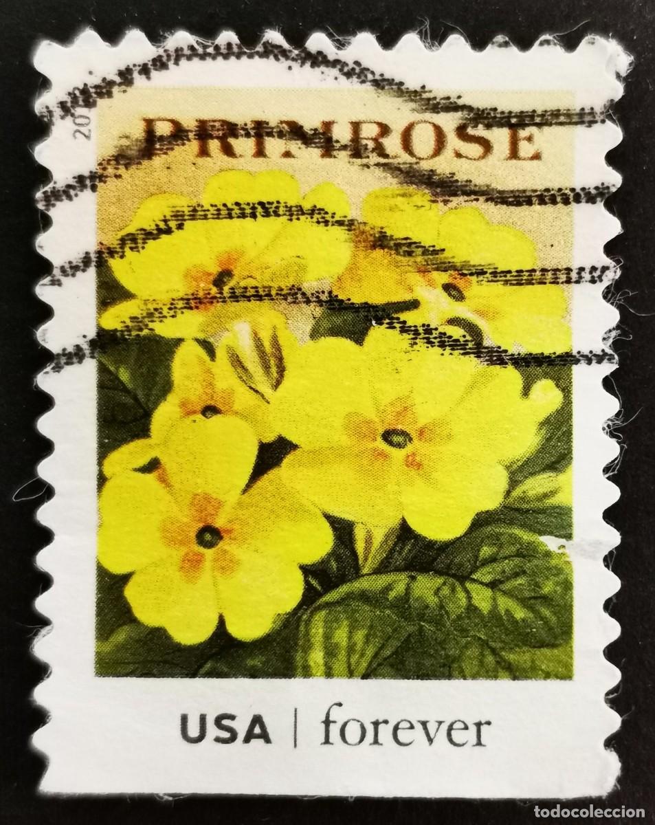 Sellos: Sello Estados Unidos U.S.A.2013, Paquetes de semillas: Pr&iacute;mula, Sin Valor Facial, Michel US 4962BD