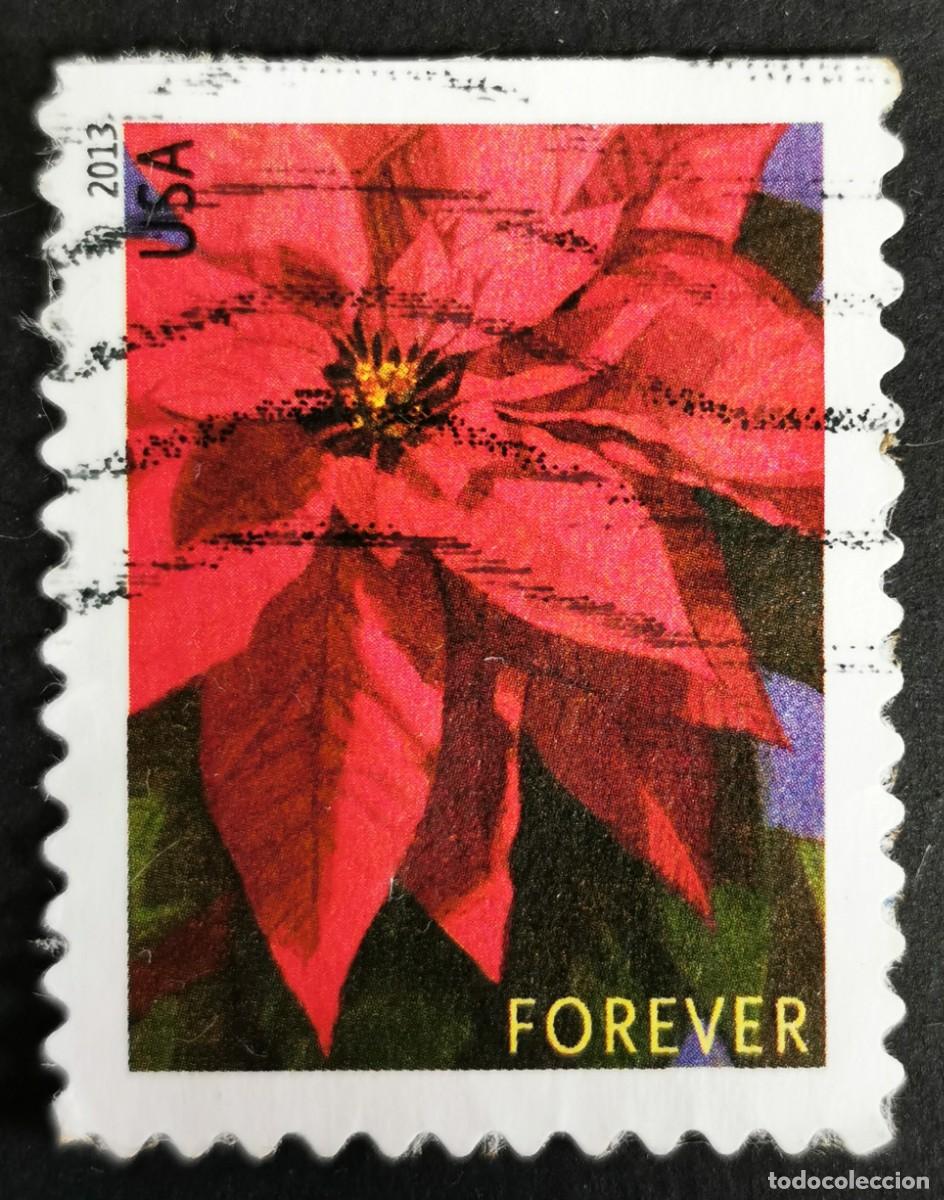 Sellos: Sello Estados Unidos U.S.A.2013,Planta de flor de Pascua grande, Sin Valor Facial, Michel US 5007IBD