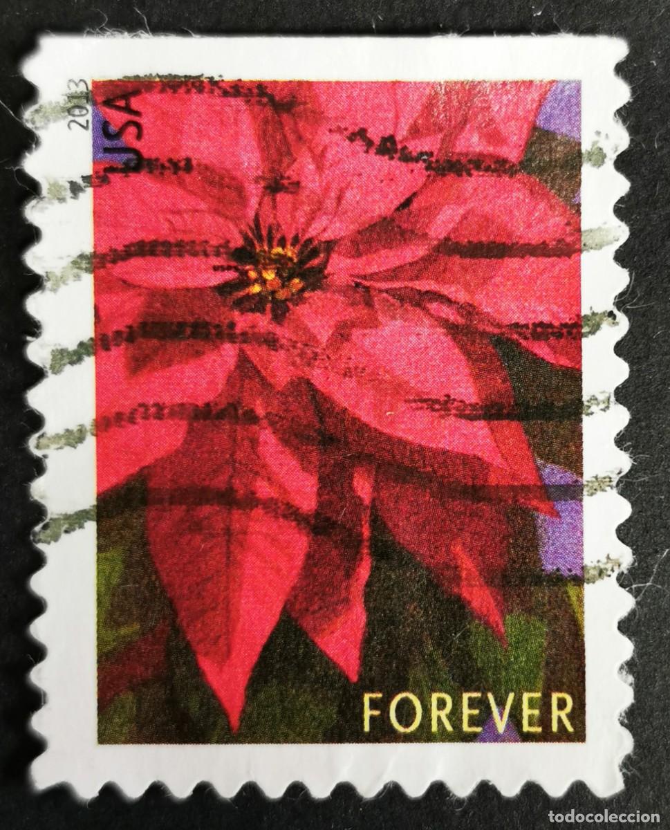 Sellos: Sello Estados Unidos U.S.A.2013,Planta de flor de Pascua grande, Sin Valor Facial, Michel US 5007IBD